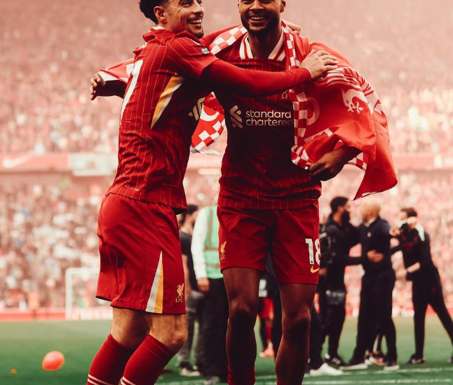 Festimet e titullit në Liverpool, shkak për një dënim të mundshëm