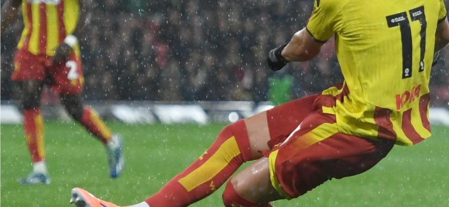 Rudi Vata zbulon më tej për të ardhmen e Roccos