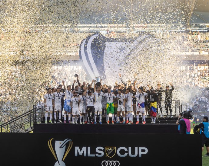 MLS kërkon pjesë të saj dhe dy yje të kosovës